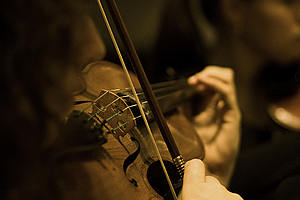 Viola/Foto: Johannes Kroemer Viola/Foto: Johannes Kroemer
