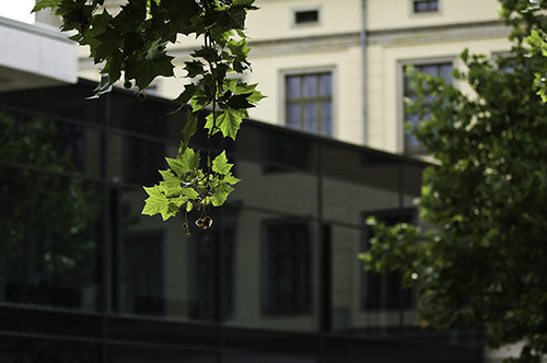 HM Dresden/Foto: Marius Leicht