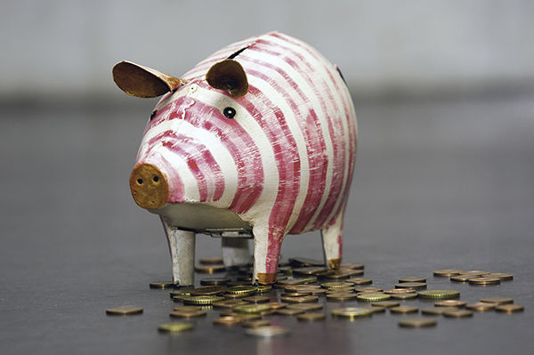 Sparschwein/Foto: Ronny Waleska