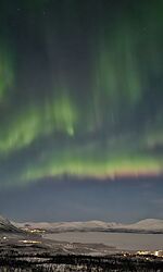 Polarlichter über Abisko in Lappland/Foto: Luise Pippig Grün-gelbe Polarlichter am Nachthimmel von Lappland