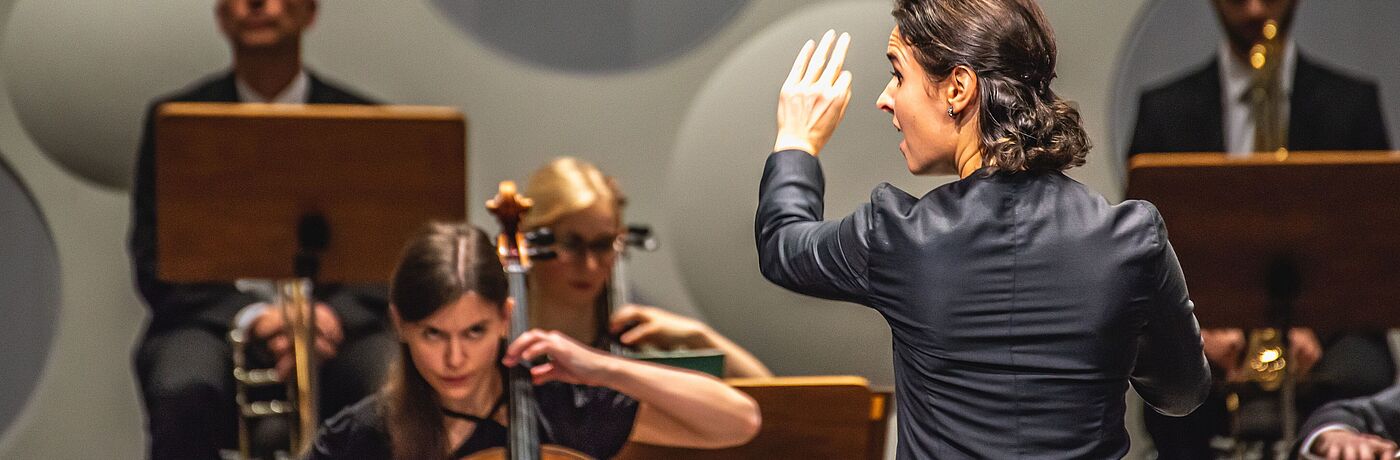 Hochschulsinfonieorchester/Foto: Marcus Lieder