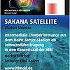 2021-07-09_SakanaSatellite_Plakat 2021-07-09_SakanaSatellite_Plakat