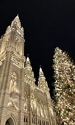 Das Wiener Rathaus bei Nacht