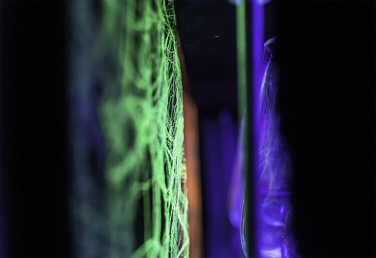 Bunt leuchtend, to the current article