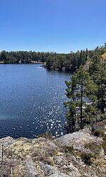 Natur im Archipelago vor Stockholm/Foto: Hans Jacob Wohlfarth