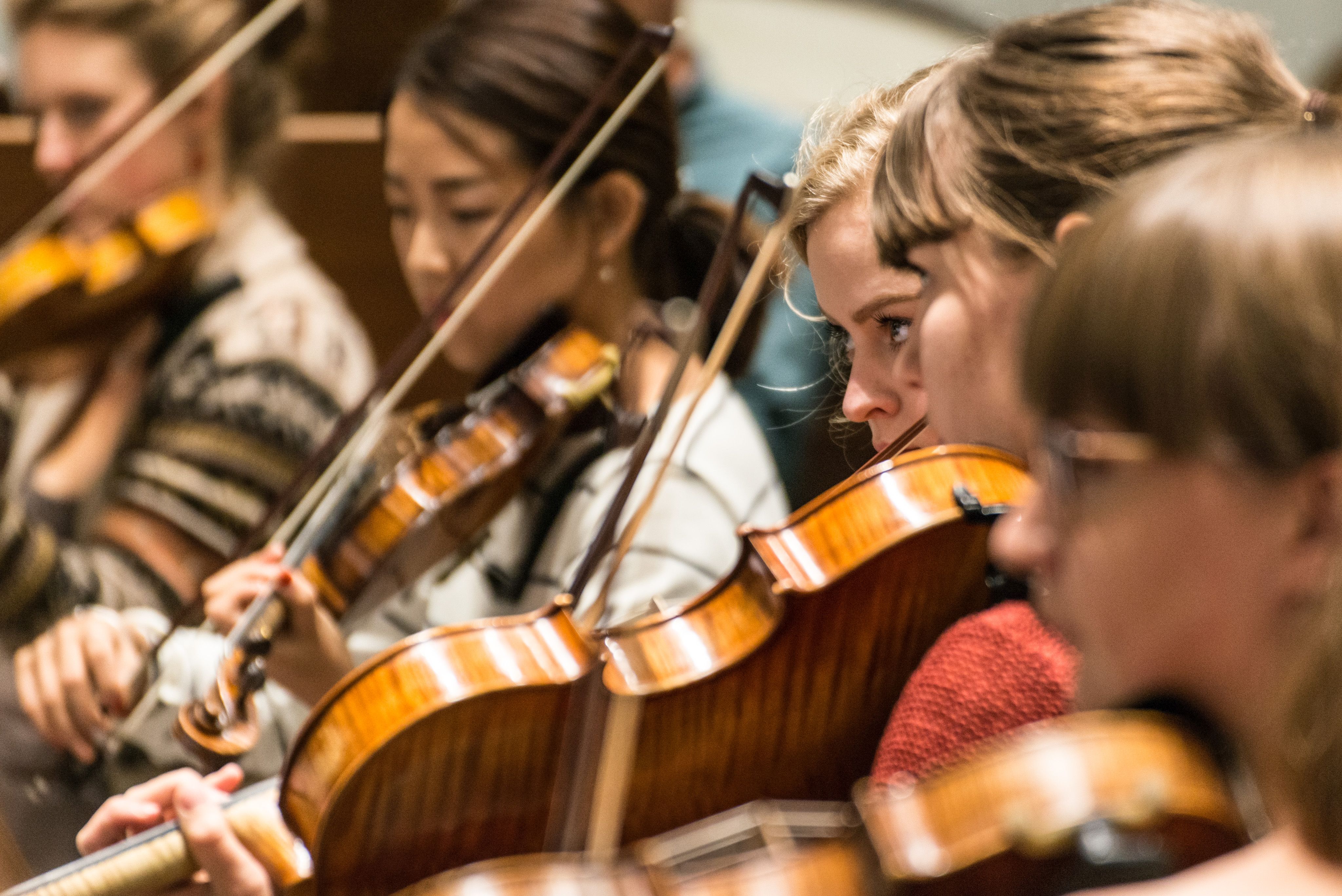 Hochschulsinfonieorchester - Foto: Marcus Lieder