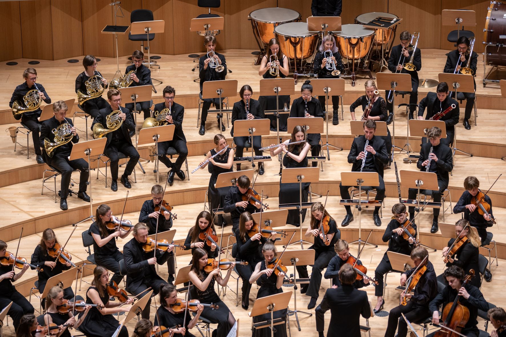 Junges Sinfonieorchester des Sächsischen Landesgymnasiums für Musik / Foto: Björn Kadenbach